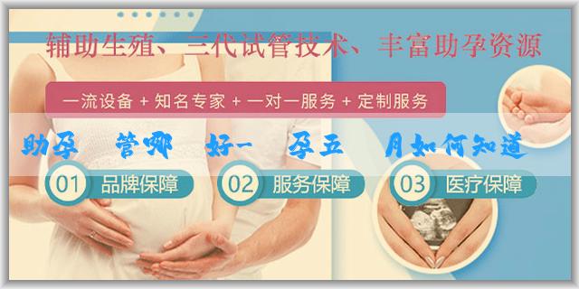 助孕試管哪個好-懷孕五個月如何知道胎兒性別？其他方法怎麼知道胎兒性別？